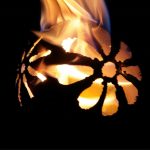 Feuerfratze D180 Blume